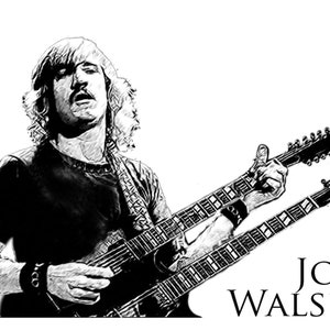 レア Vintage JOE WALSH ノースリーブTシャツ Joe Walsh Shirt - Etsy