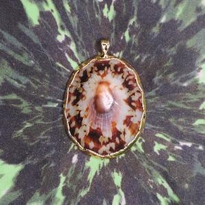 Polished Limpet Shell Pendant BEAUTY!!