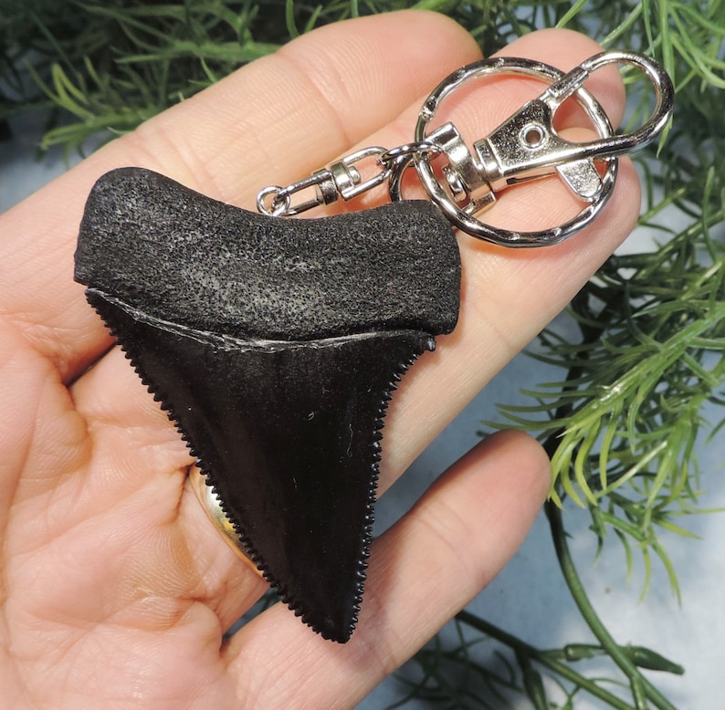 Great White Sharks Tooth Replica Keychain Etsy