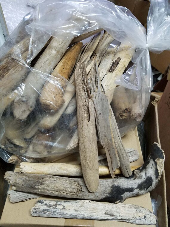 10 Bulk Driftwood Pieces Bulk Driftwood Nautical Driftwood