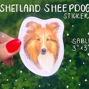 Sheltie Sticker - Shetland sheepdog- collie sticker - Scottish dog - rescue animal donation - charity sticker - Scotland
