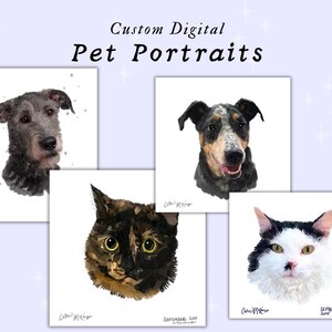 Your Pet Here! Custom Digital Pet Portrait image 3