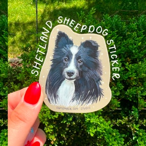 Bi-Black Sheltie Sticker - Shetland sheepdog- border collie sticker - Scottish dog - rescue animal donation - charity sticker - Scotland