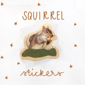 Squirrel Sticker - Cute Squirrel Art - hydroflask sticker