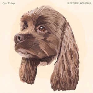 May include: A brown and white cocker spaniel dog with long, fluffy ears. The dog is looking to the left of the image. The background is a light peach color.