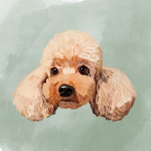 May include: A close-up of a small, light brown poodle with fluffy fur. The dog has a soft, gentle expression and is looking directly at the camera.