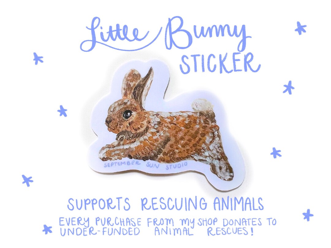 Bunny on a Run Sticker - Acrylic Painting of Rabbit - Water Proof ...