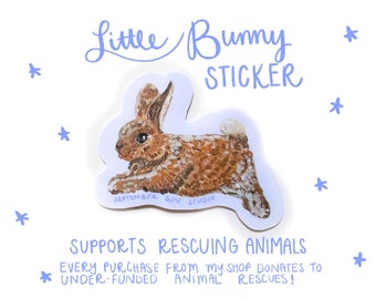 Bunny on a Run Sticker - Acrylic Painting of Rabbit - water proof Stanley cup Sticker