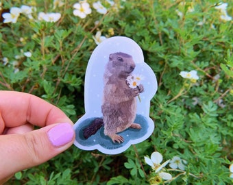 May include: A clear sticker featuring a marmot holding a bunch of white flowers. The marmot is brown and white with a black nose. The sticker is set against a green background with white dots.