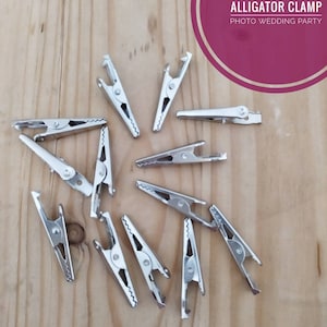Pinces Alligator Clamp avec photo de dents, carte d’identité, photo 0,35x0,70 ton argent