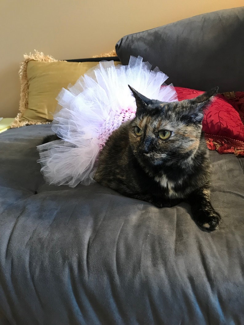 cat tutu skirt cat costume in pale pink. Cat tutu cat ballerina tutu