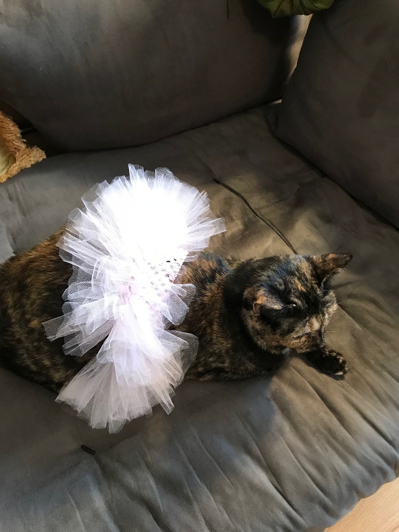 cat tutu skirt cat costume in pale pink. Cat tutu cat ballerina tutu