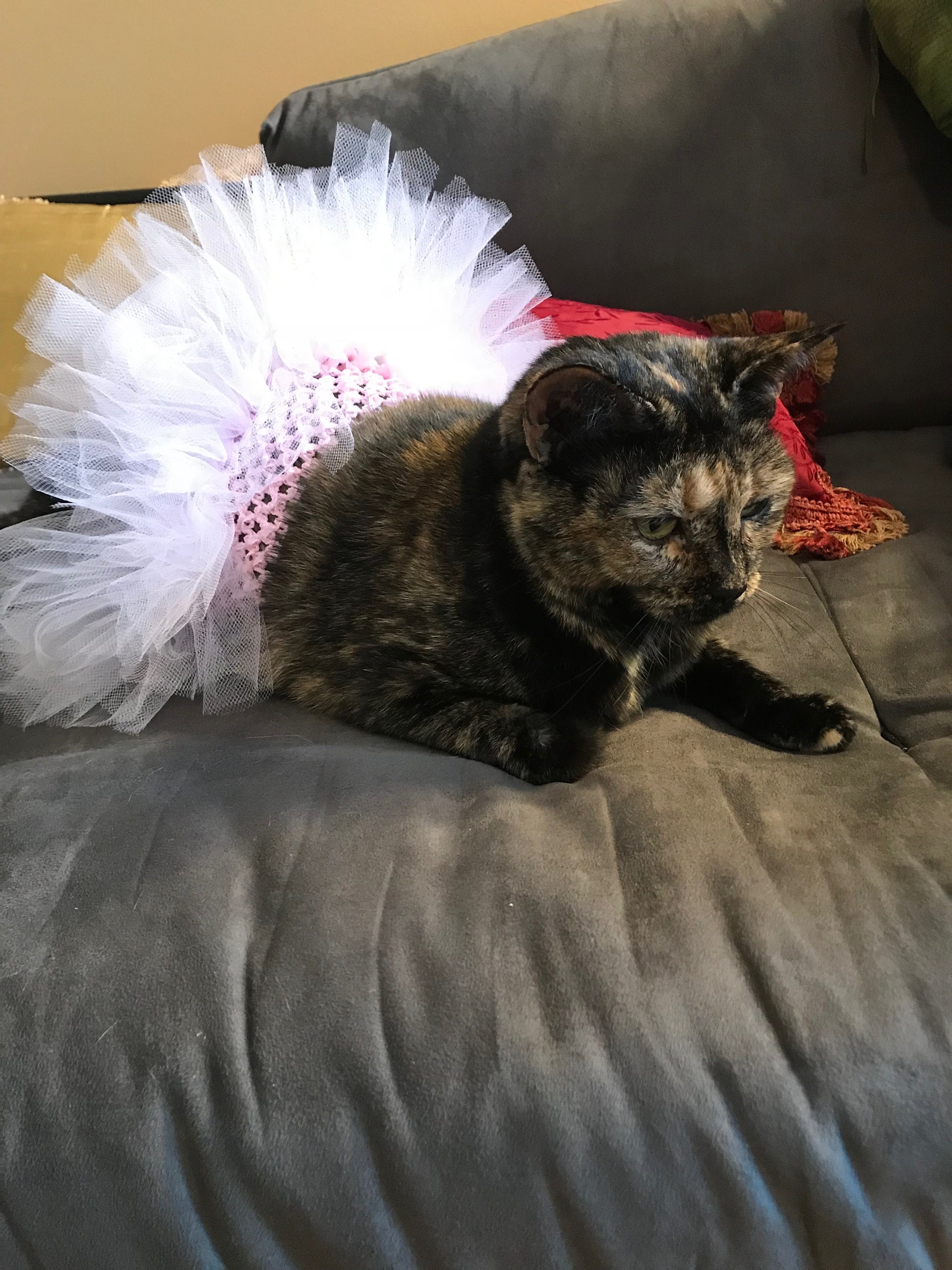 2 Pieces Dog Tutu Dess, Pet Dess Set Tutu Skit Fo Cats