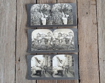 Africa Themed Vintage Collection Of 11 Keystone View Stereoscope Cards/Images