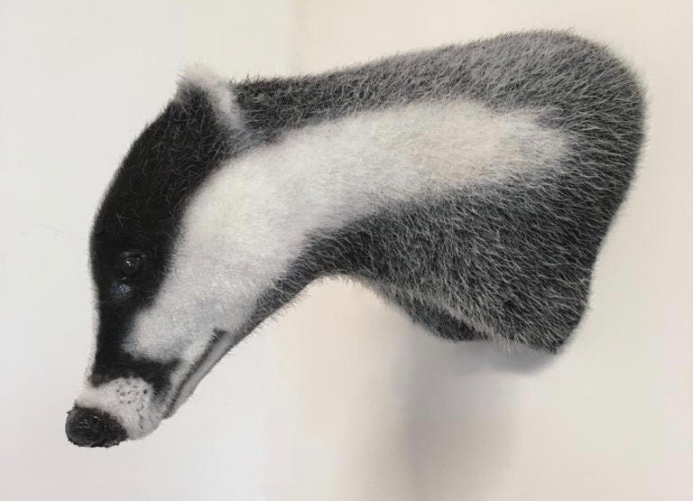 Faux Taxidermy Badger Head Animal Friendly Decorative Art Handmade in