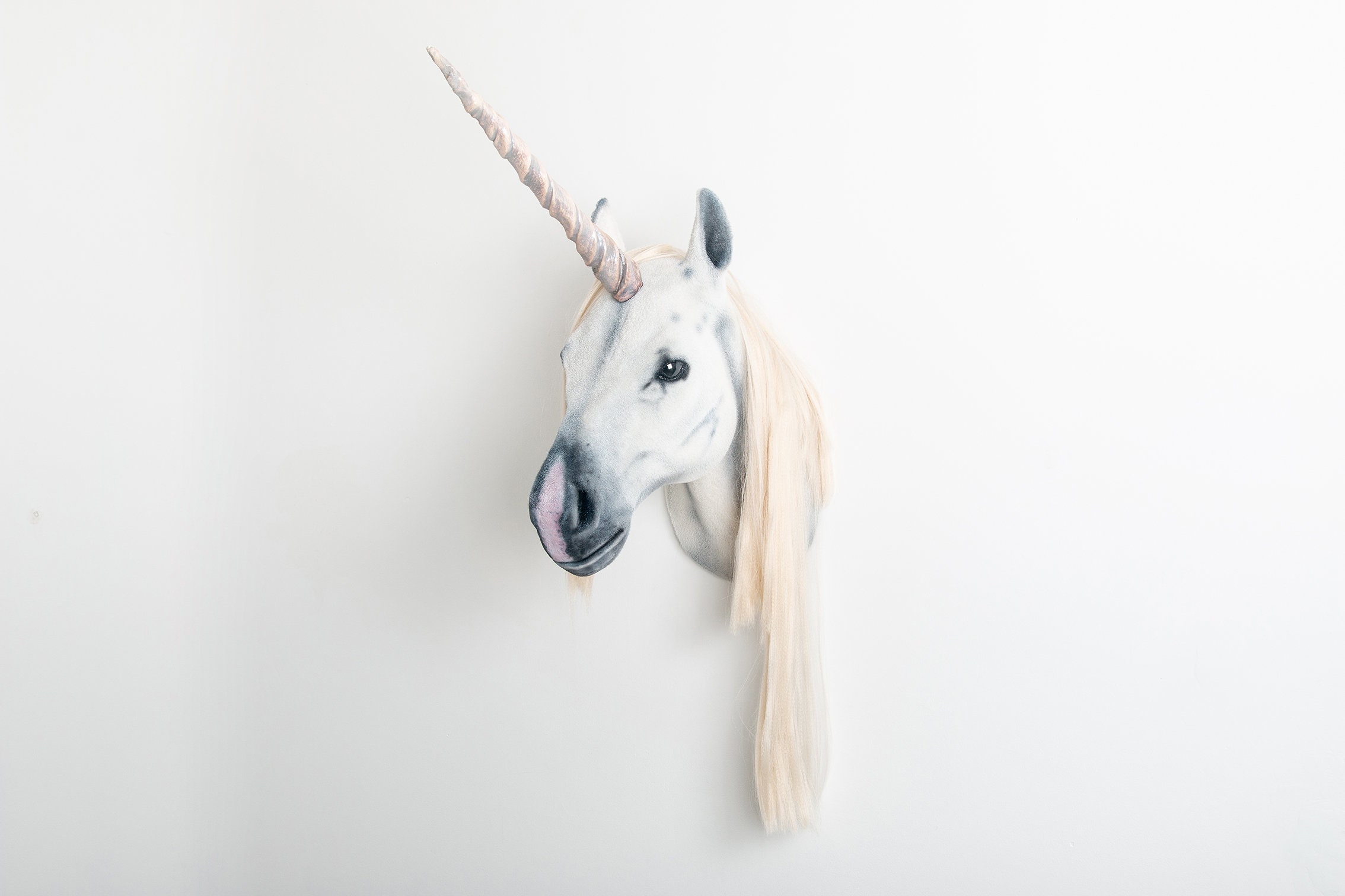 Faux Taxidermy Unicorn Head Animal Friendly Decorative Art - Etsy Denmark Faux Taxidermy Unicorn Head Animal Friendly Decorative Art - Etsy Denmark