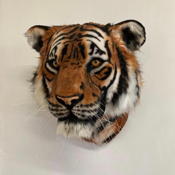 Tigre en fausse taxidermie