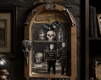 Die dokumentierte Vorfalls-Assemblage-Kunst, gotische Kuriositäten, Wandbilder mit kuriosen Motiven, Dark-Academia-Dekor, Kuriositätenkabinett