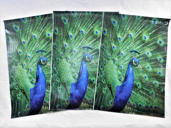 Green Peacock 1-1000 10x13 Boutique Designer Poly Mailer Bags Fast Shipping