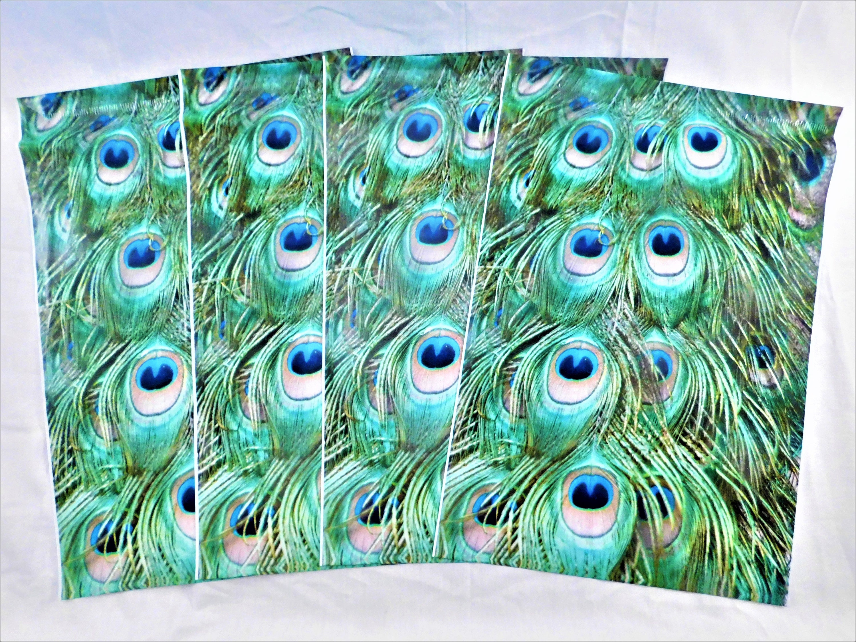 Peacock Envelope-Maker - plexi - Schleiper - Complete online catalogue