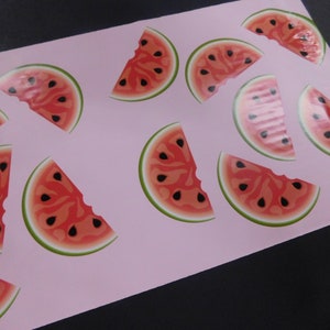 1-1000 Designer Watermelon 10x13 Poly Mailers Self Seal Adhesive Plastic Flat Envelope Resistant Shipping Tear Proof Lightweight Bag