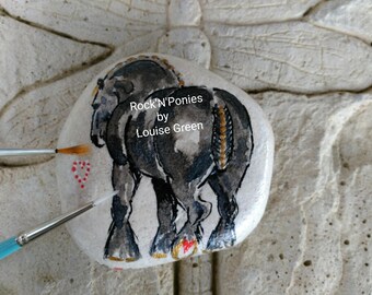 Rock'N'Ponies - BLACK PEARL SHIRE