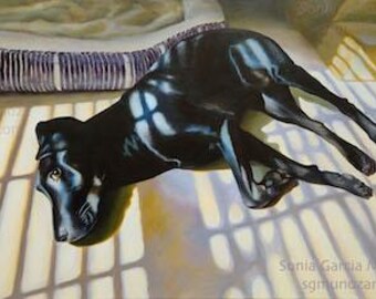 Custom Pet Portrait Painting: Dog, Oil or Acrylic