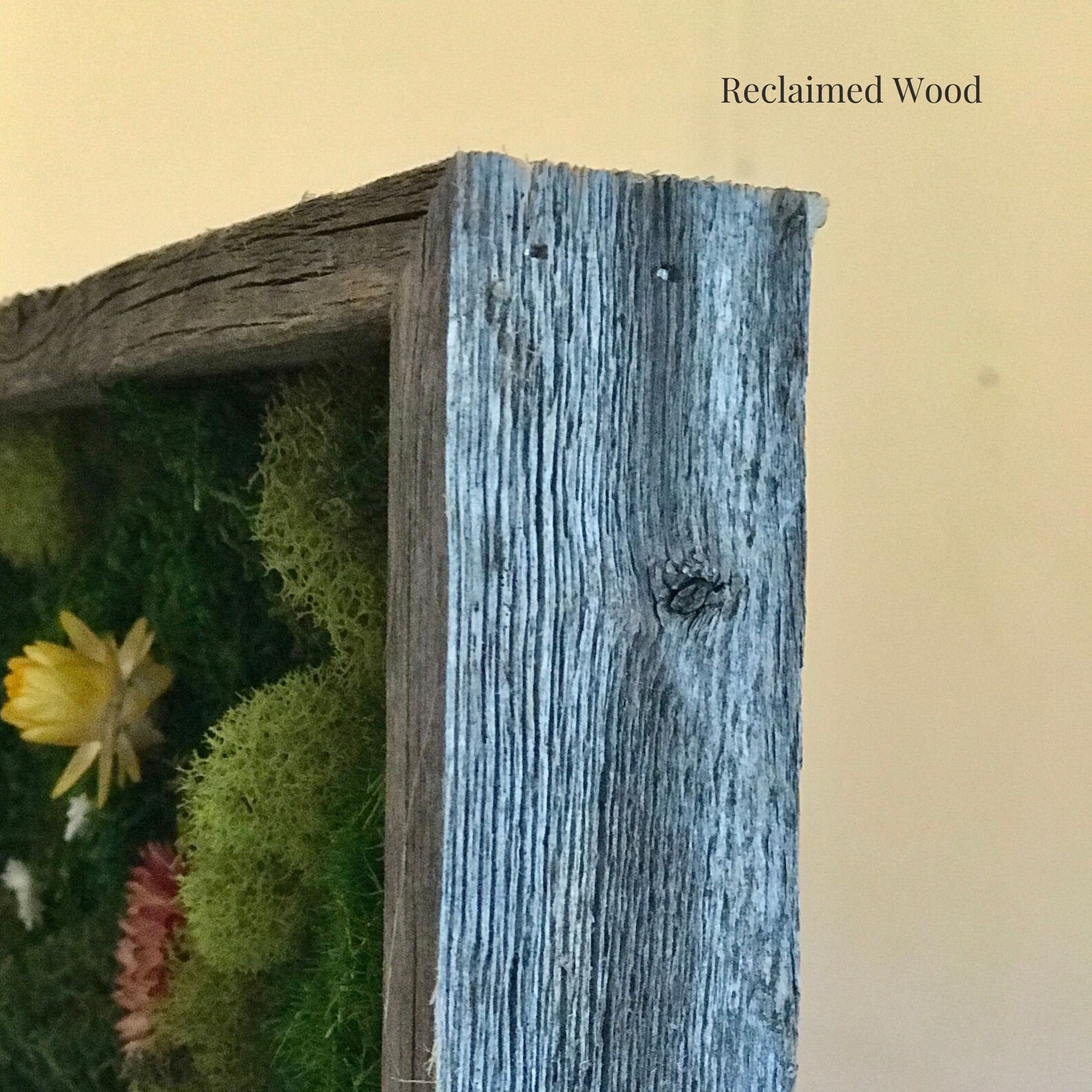 Floral Moss Wall Art Moss Wall Art Moss Wall Preserved Etsy