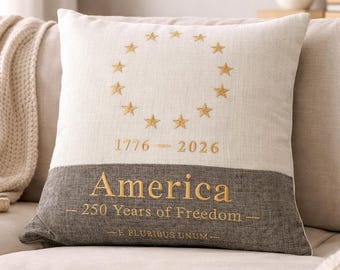America 250 pillow embroidered USA anniversary decor