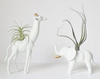 Giraffe + Elephant Planters / Indoor Planters