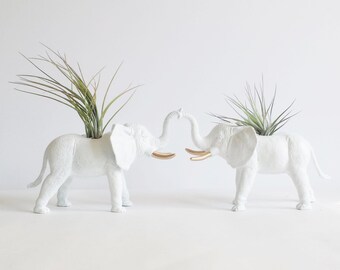 Elephant Planters // Air Plants // Animal Planters