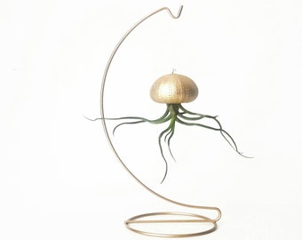 May include: A gold-colored metal air plant holder with a curved design. The holder suspends a gold-painted sea urchin shell with a green air plant. The air plant has long, thin, green leaves. The holder is on a white background.