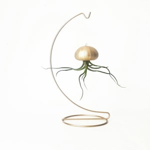 Air Plant Stand, Gold Indoor Planter, Air Plants