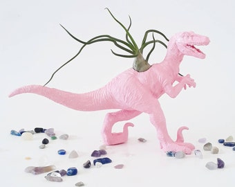 Unique Holiday Gifts // Pink Dino Planter, Air Plant Gifts