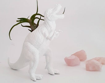 Dino Planter + Mini Planter // Plants // Diy Planter Kit