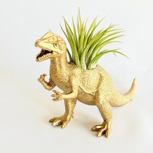 Gold Dino Planter // Mini Planter / Air Plant