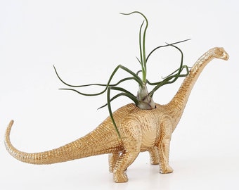 Gold Dinosaur Planter // Air Plant Holder