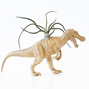 Dino Planter Rose Chrome Mini Planter