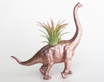 Rose Chrome Dino Planter // Dino Decorations