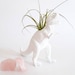 see more listings in the Animal Planters section