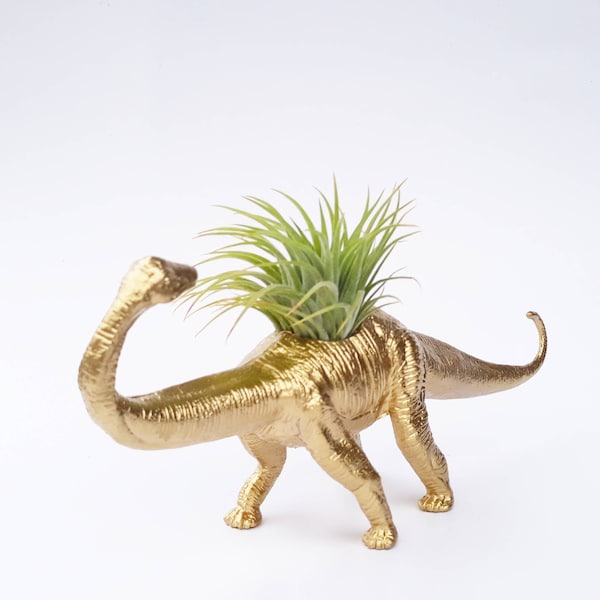 Gold Dinosaur Planter // Air Plants // Indoor Planters