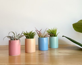 Mini Ceramic Planter // Summer Home Decor // Air Plants