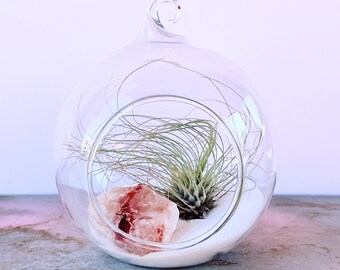 Rose Quartz Terrarium // Air Plant Decor