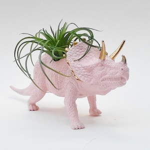 Pink Dinosaur Planter, Air Plant Holder image 1