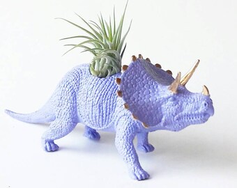 Dinosaur Planter + Air Plant // Unique Air Plant