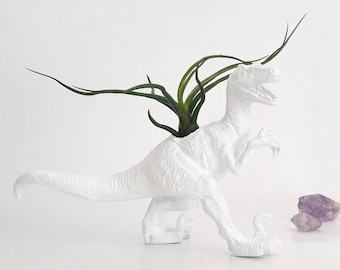 Dino Planter, Holiday Gifts, Holiday Planters