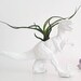 see more listings in the Animal Planters section