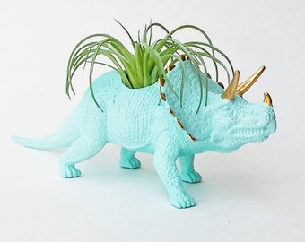 Stego Dino Planter + Air Plant // Dinosaur Terrarium