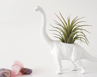 Dino Planter + Air Plants // Plants // Mini Planters