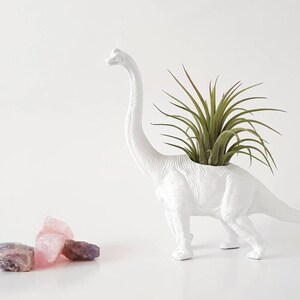 Dino Planter + Air Plants // Plants // Mini Planters